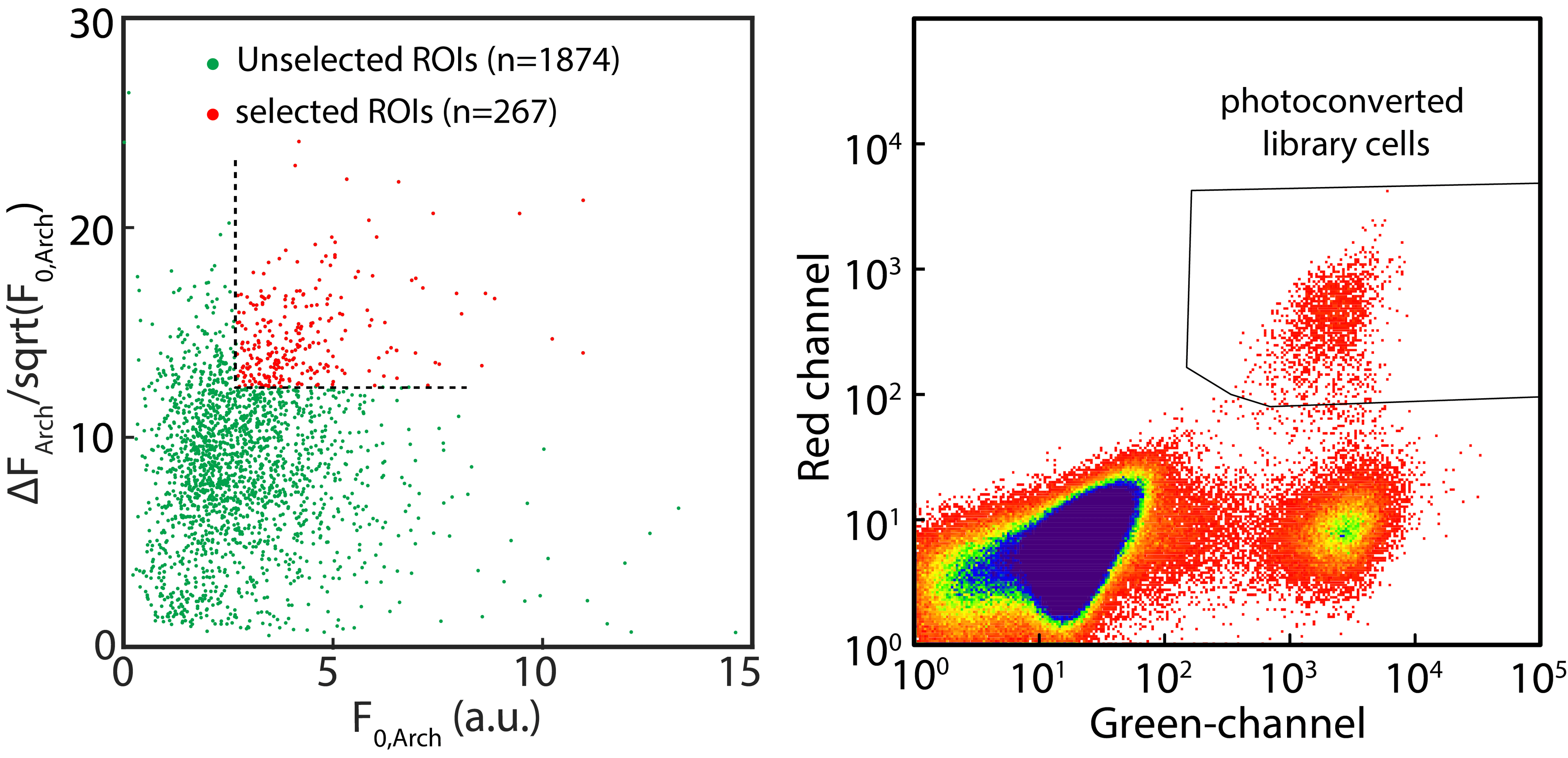 Optogenetic patterning of morphogen gradients in zebrafish embryos